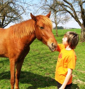 Tipps für Kids - Tellington Körperbänder
