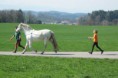   Mein Einswerden mit dem Pferd! Von Lukas Bergermann (12 Jahre)