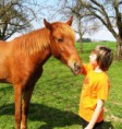 Tipps für Kids - Tellington Körperbänder